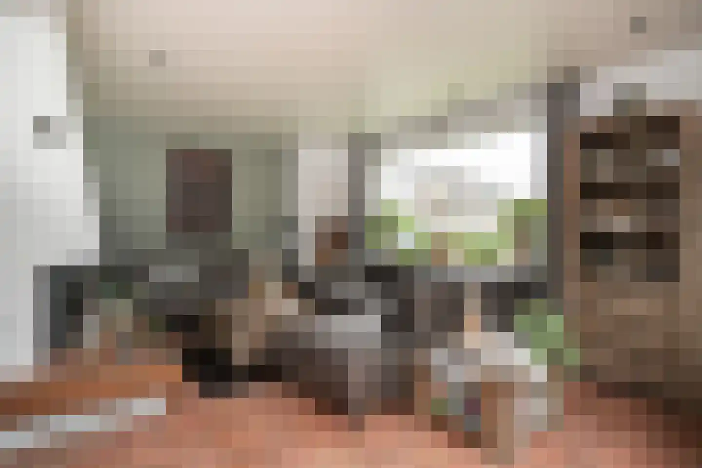 Peperstraat 9 Bruchem thumbnail 5