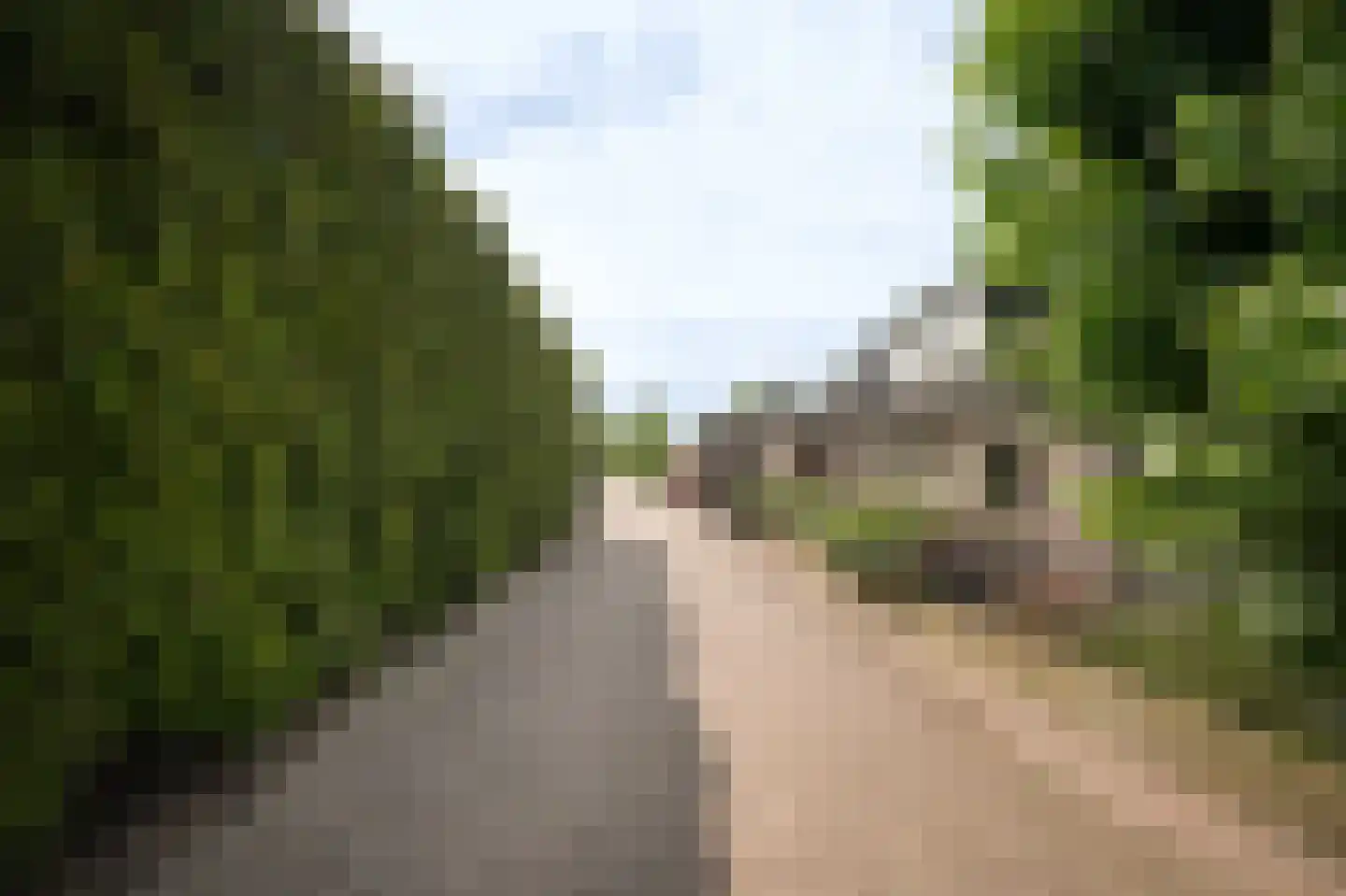 Peperstraat 9 Bruchem thumbnail 51