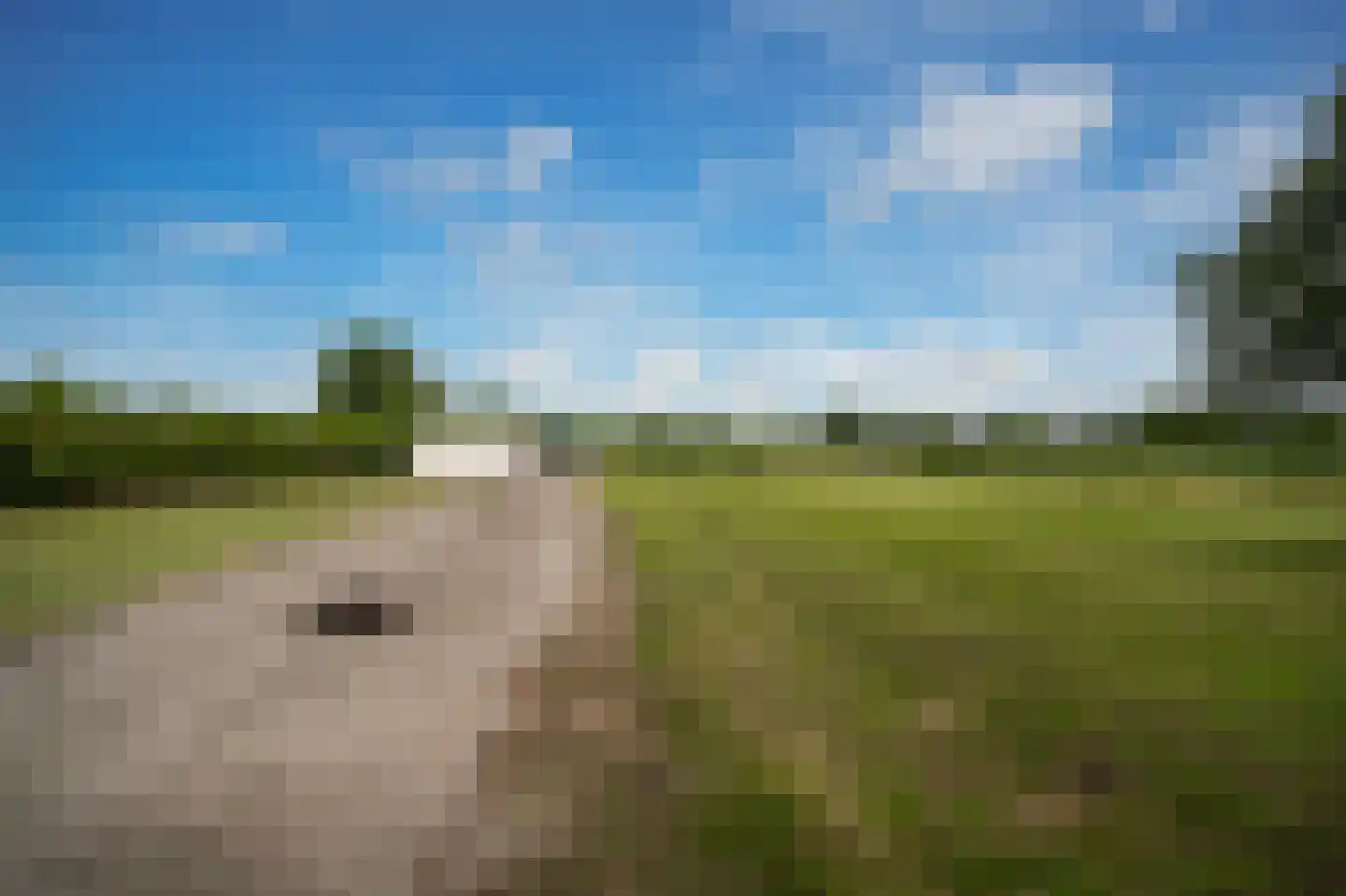 Peperstraat 9 Bruchem thumbnail 53