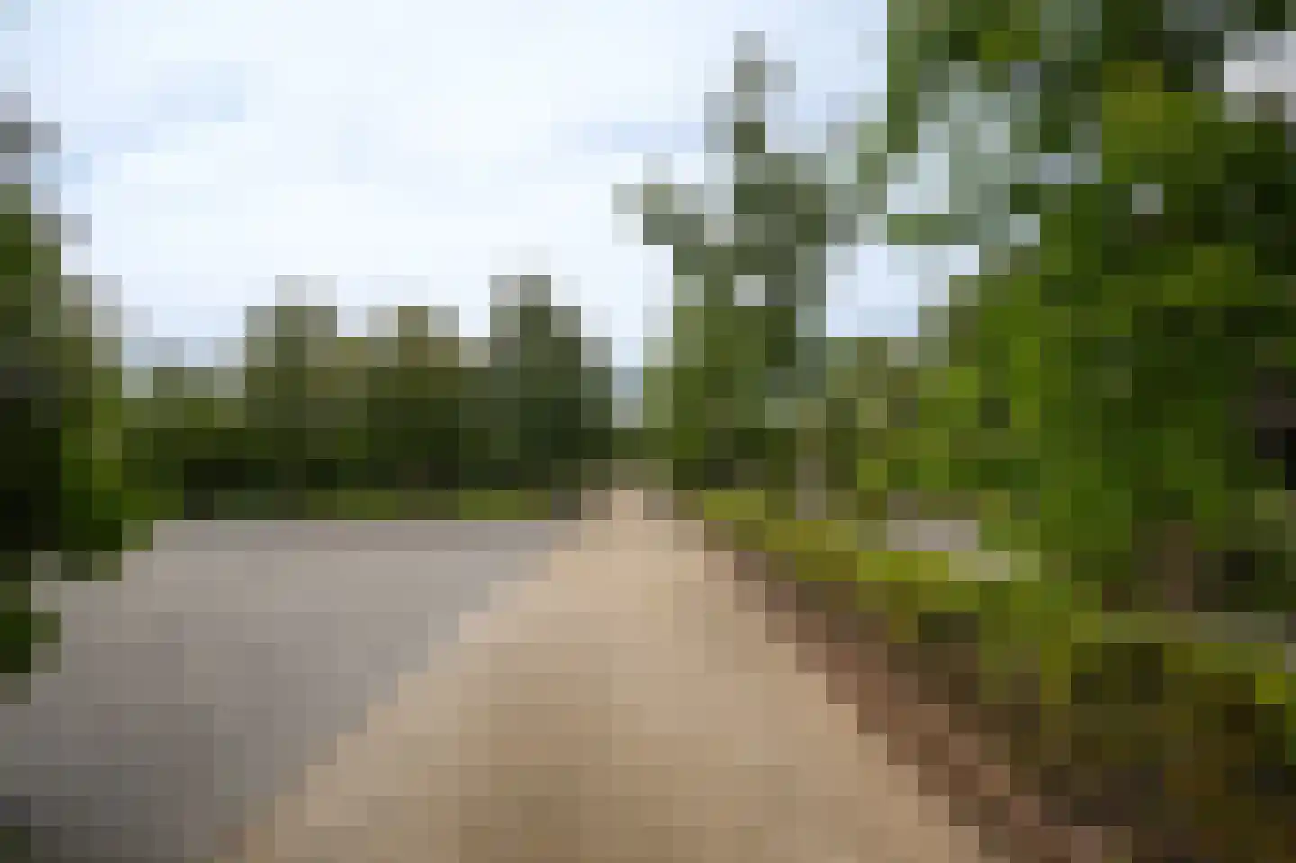 Peperstraat 9 Bruchem thumbnail 55