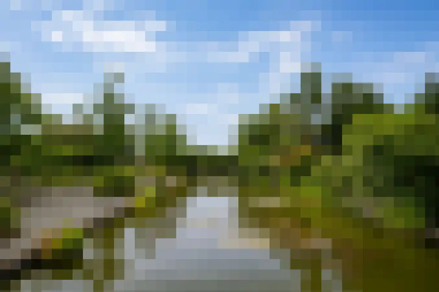 Peperstraat 9 Bruchem thumbnail 56