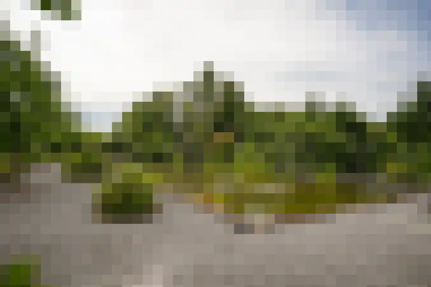 Peperstraat 9 Bruchem thumbnail 58