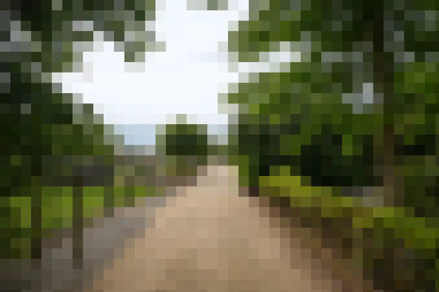 Peperstraat 9 Bruchem thumbnail 65