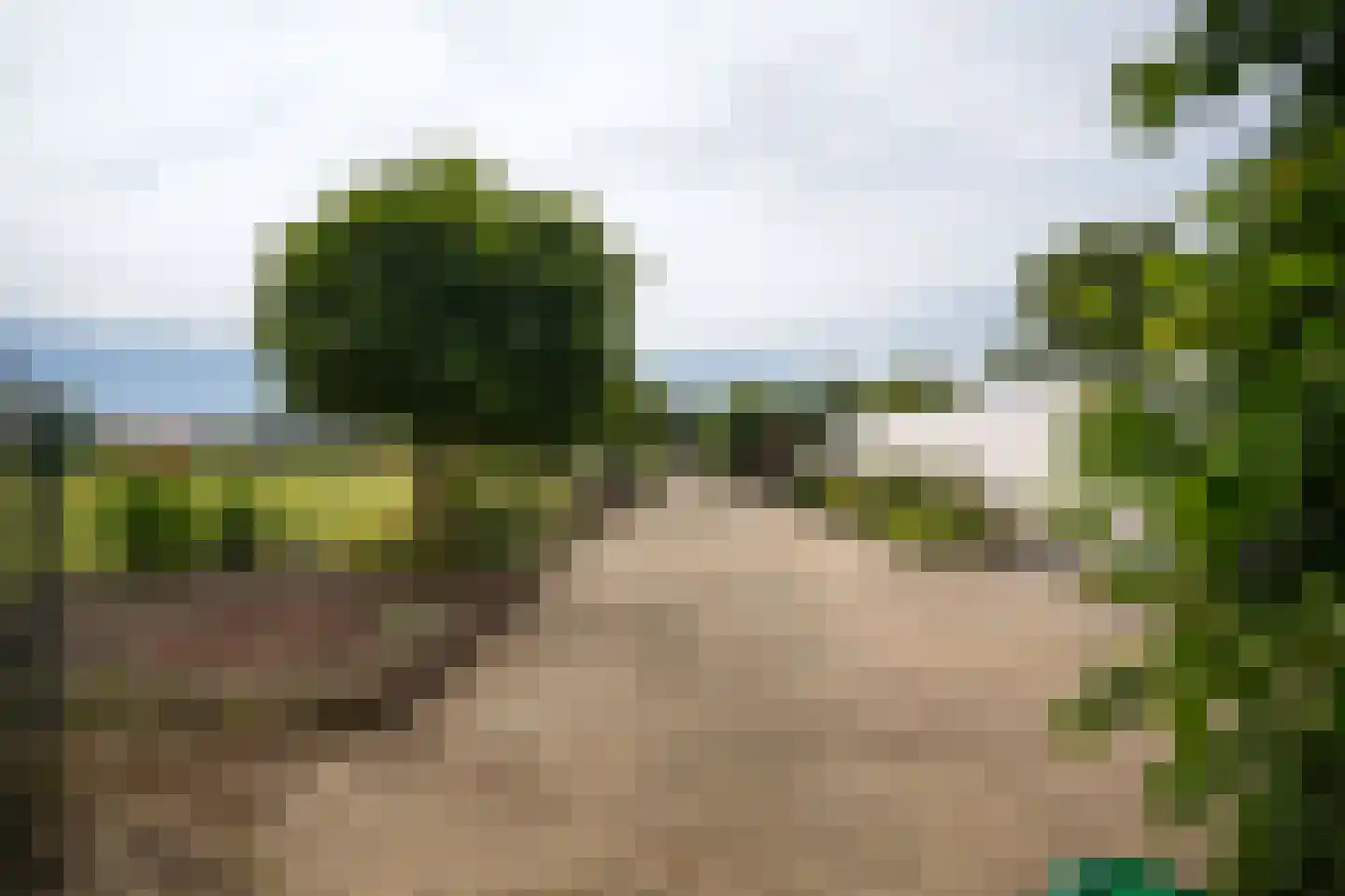 Peperstraat 9 Bruchem thumbnail 67