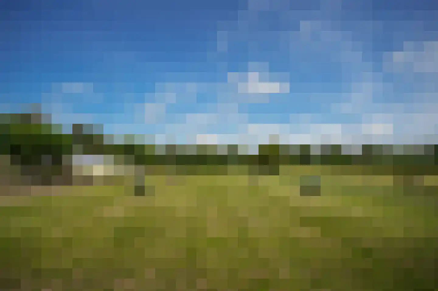 Peperstraat 9 Bruchem thumbnail 76