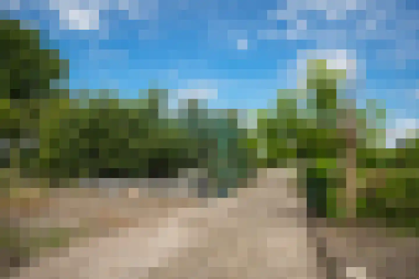 Peperstraat 9 Bruchem thumbnail 77