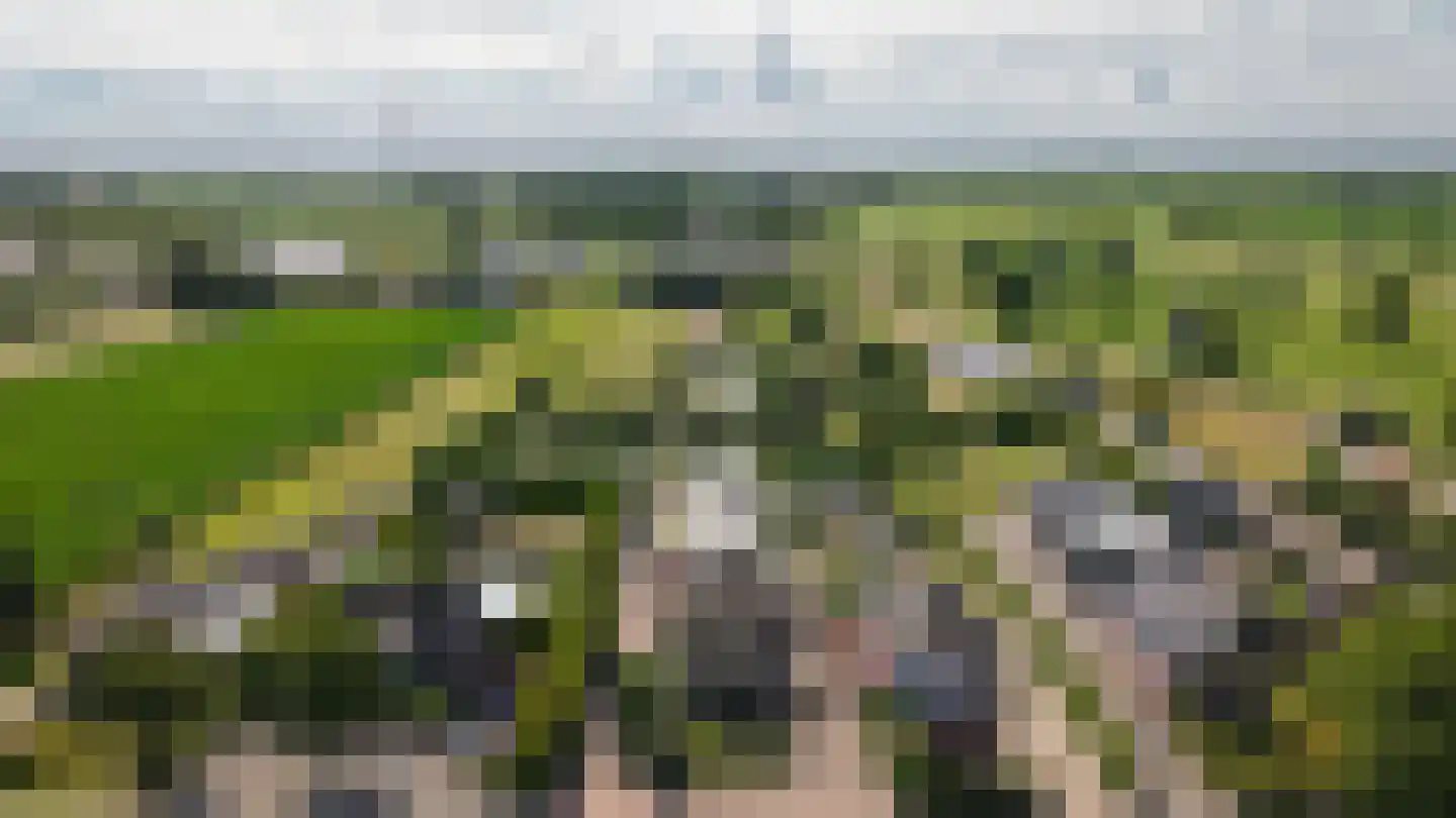 Peperstraat 9 Bruchem thumbnail 92