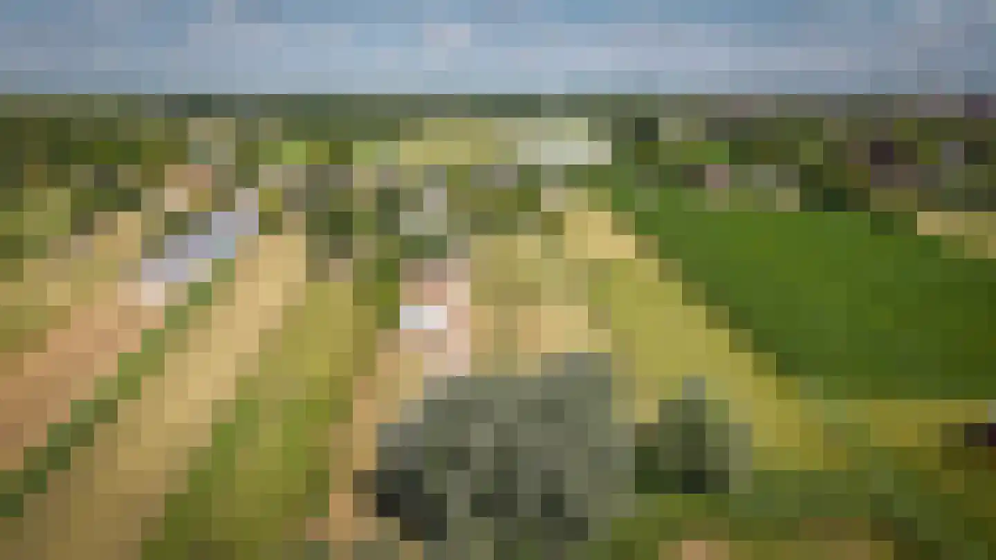 Peperstraat 9 Bruchem thumbnail 94