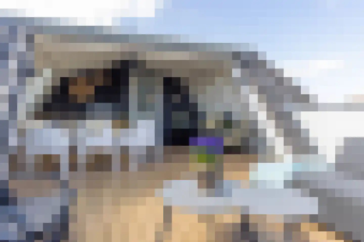 Peperstraat 9 Naarden thumbnail 38