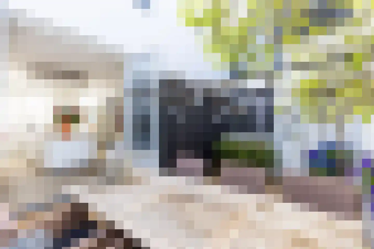 Peperstraat 9 Naarden thumbnail 41