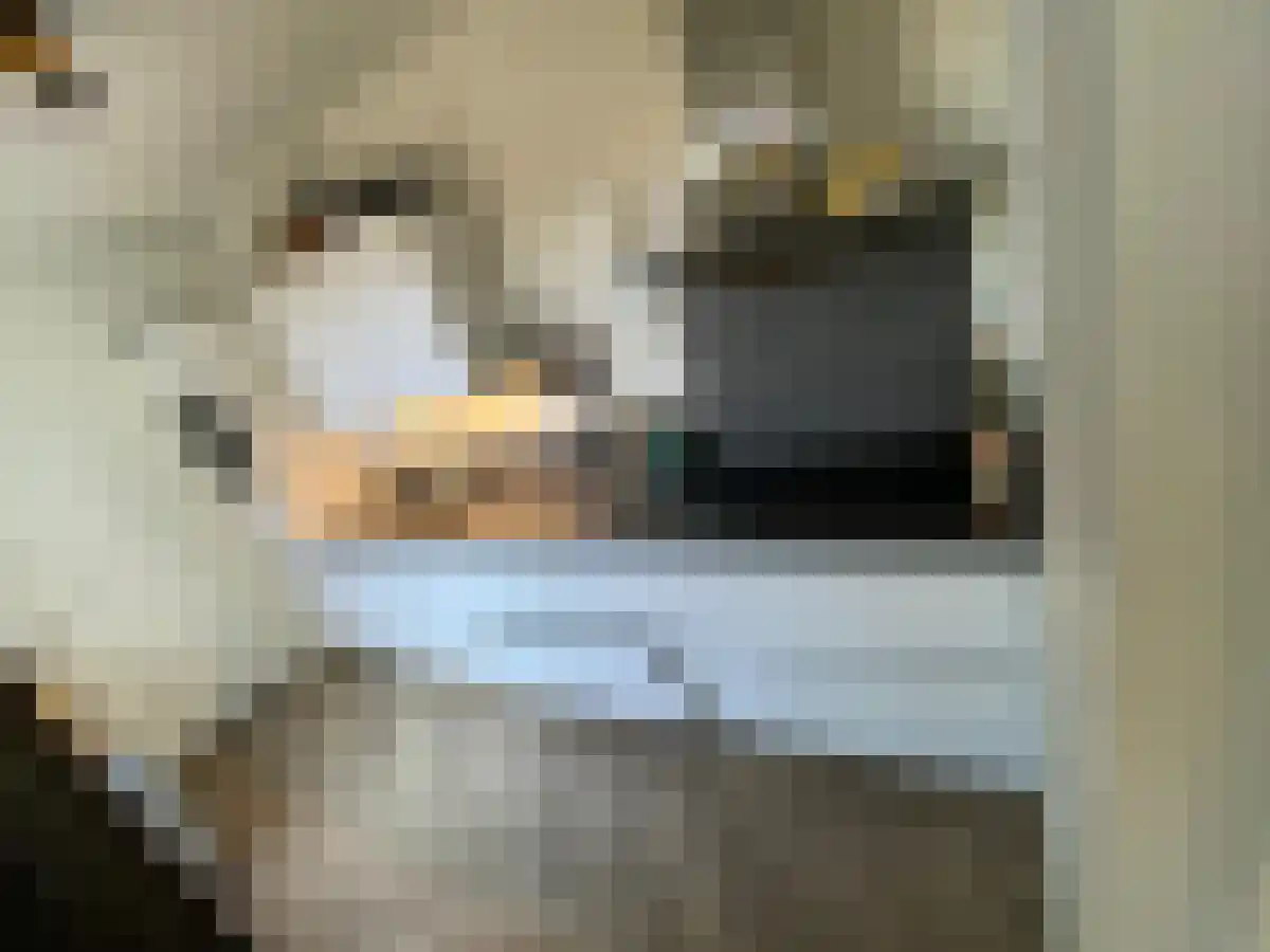 Peperstraat Eindhoven thumbnail 4