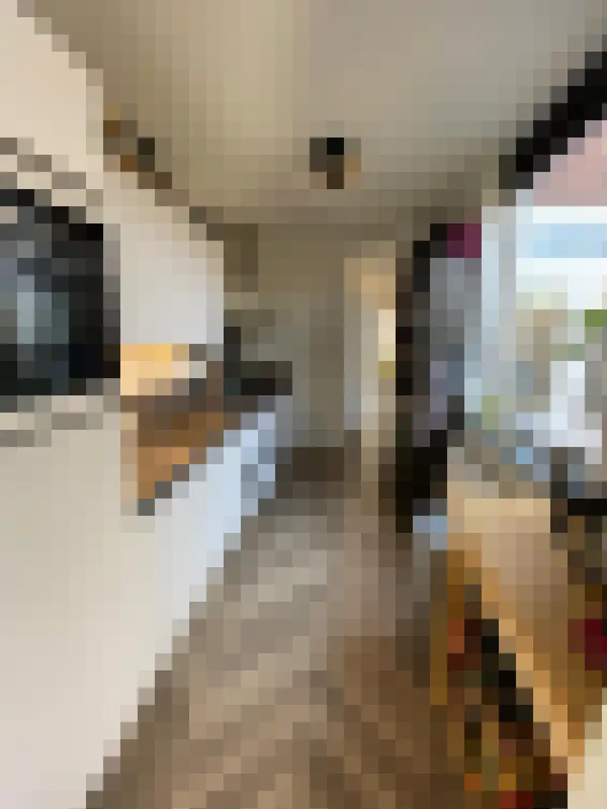 Peperstraat Eindhoven thumbnail 5