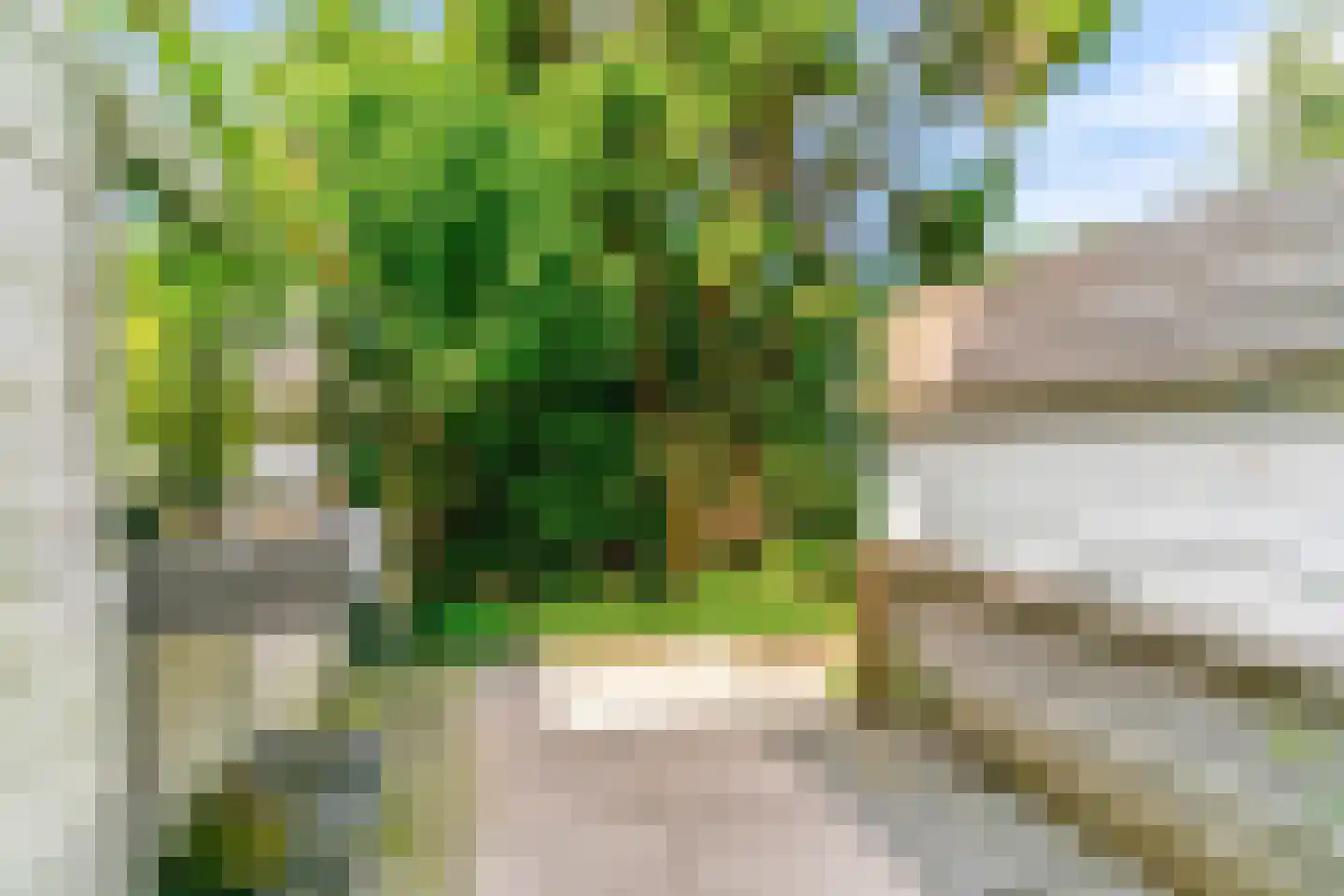 Peperzoom 37 Voorhout thumbnail 11