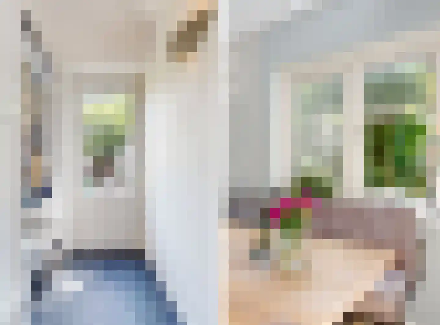 Peperzoom 37 Voorhout thumbnail 22