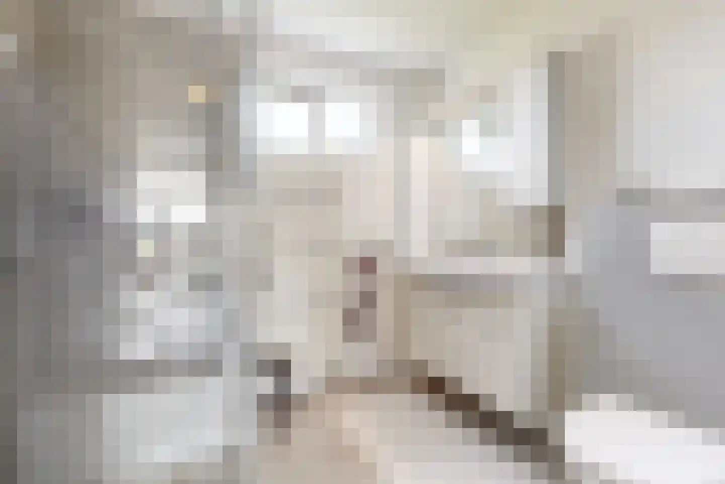 Peperzoom 37 Voorhout thumbnail 30
