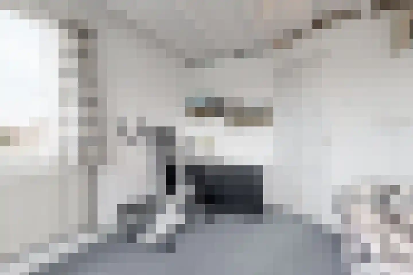 Peperzoom 37 Voorhout thumbnail 36