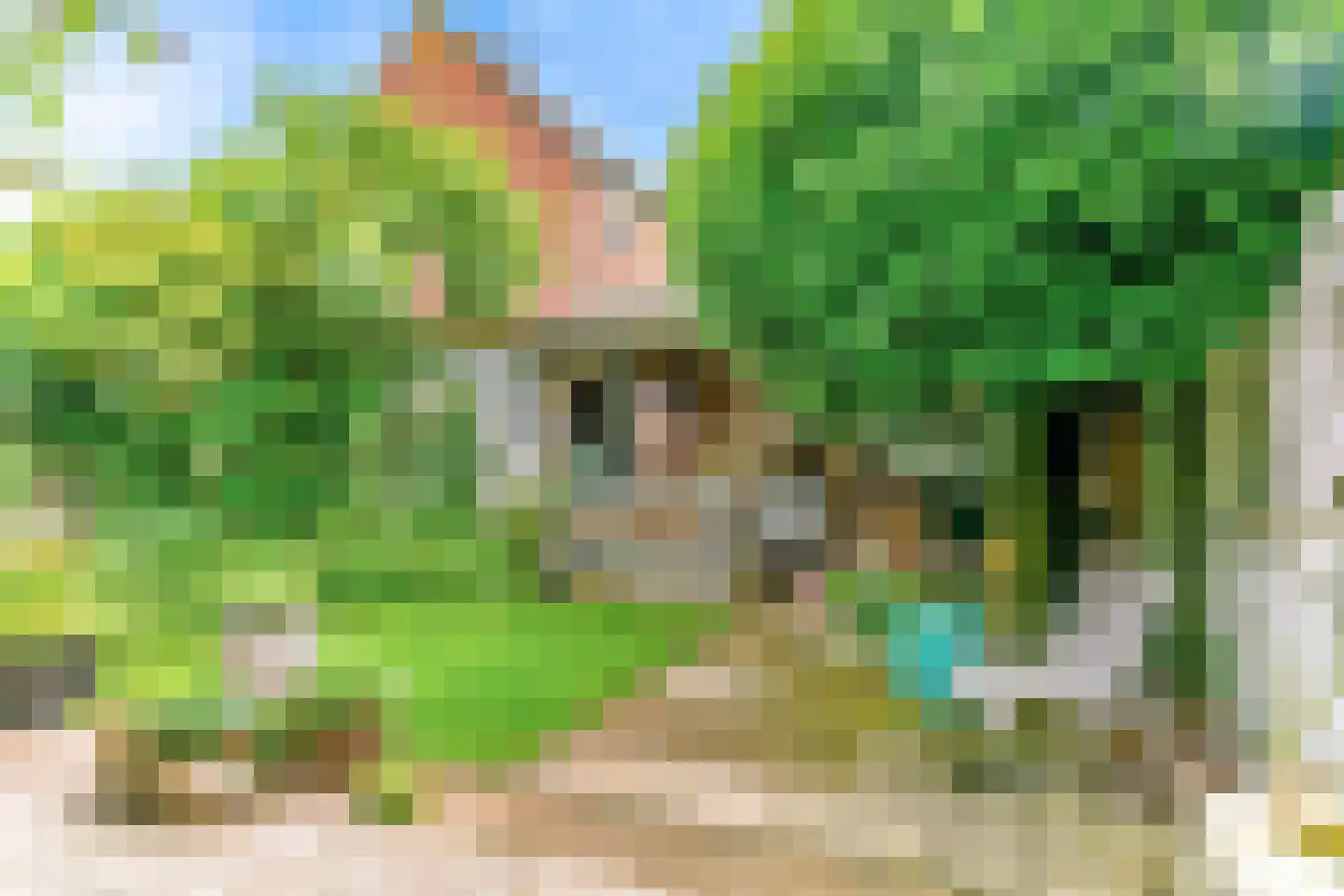 Peperzoom 37 Voorhout thumbnail 38
