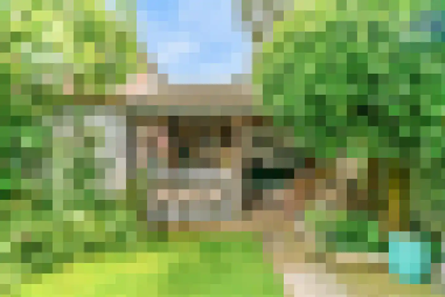 Peperzoom 37 Voorhout thumbnail 41