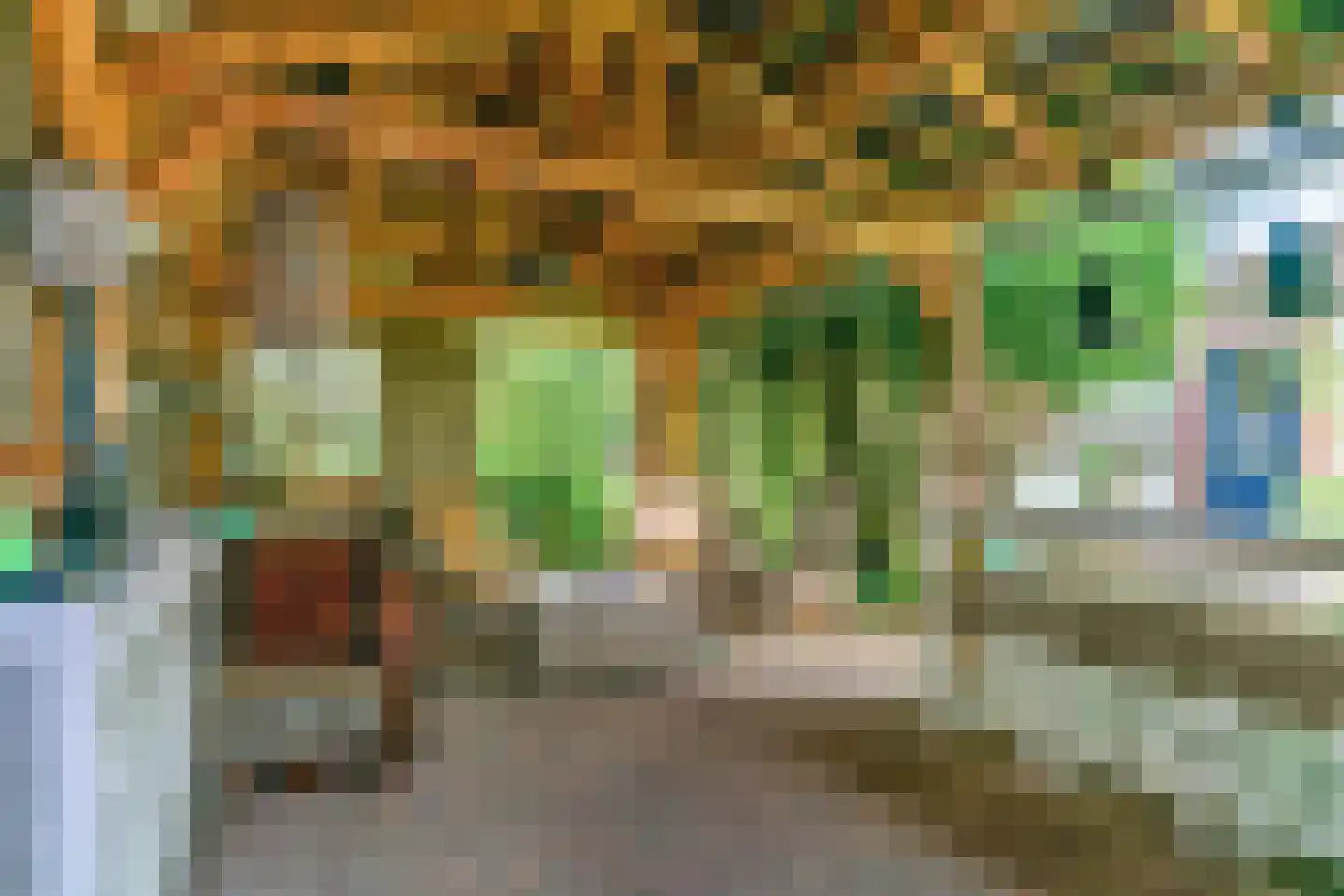 Peperzoom 37 Voorhout thumbnail 44