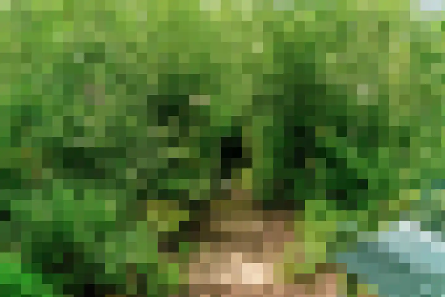 Peperzoom 37 Voorhout thumbnail 46