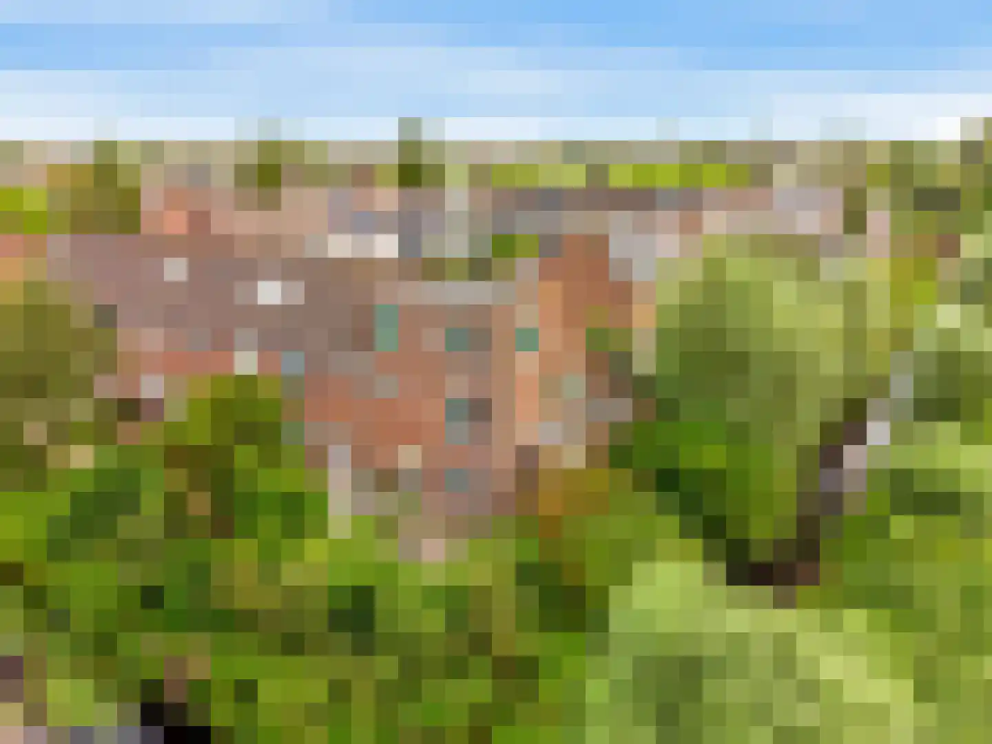 Peperzoom 37 Voorhout thumbnail 48