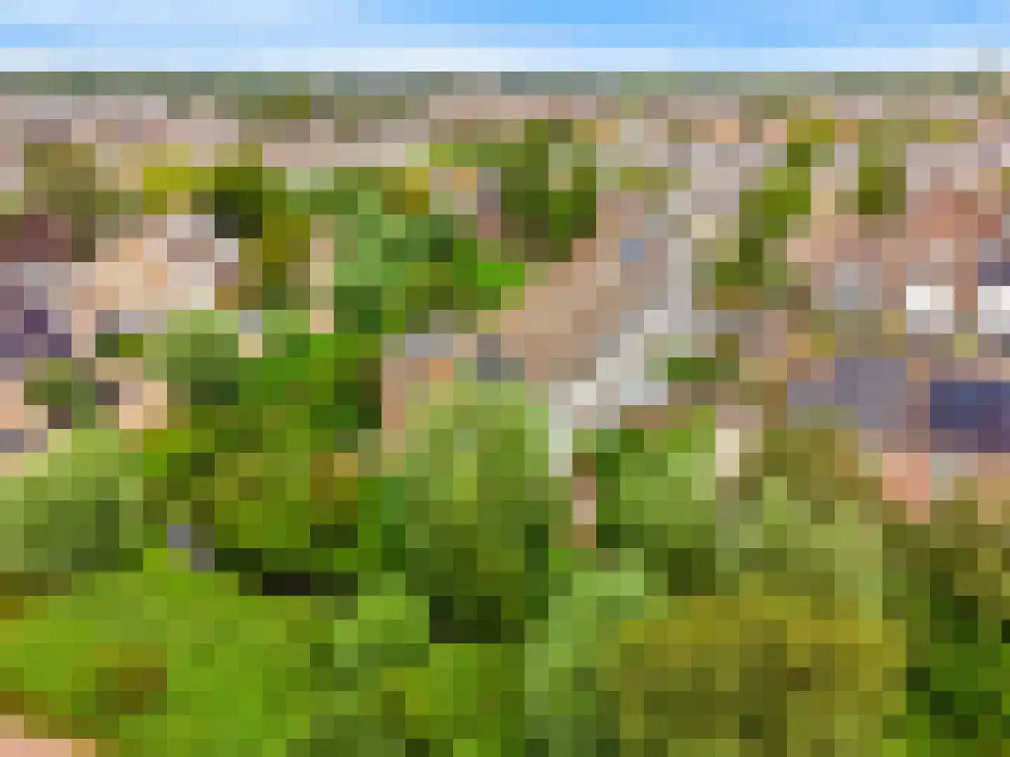 Peperzoom 37 Voorhout thumbnail 49