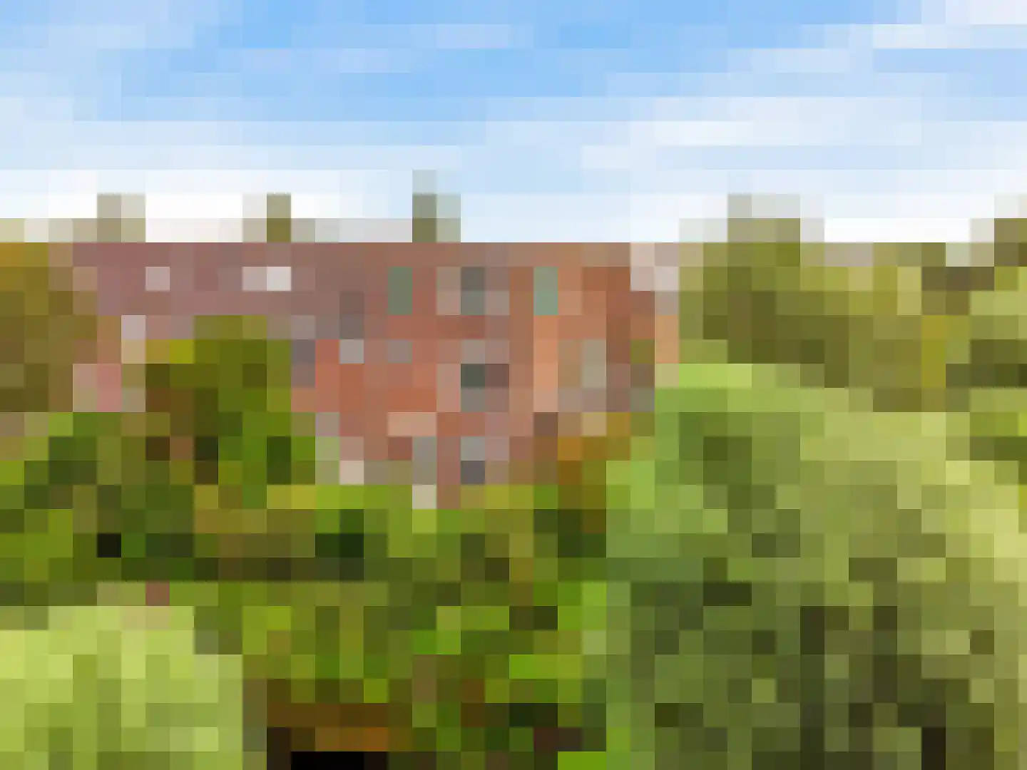 Peperzoom 37 Voorhout thumbnail 5