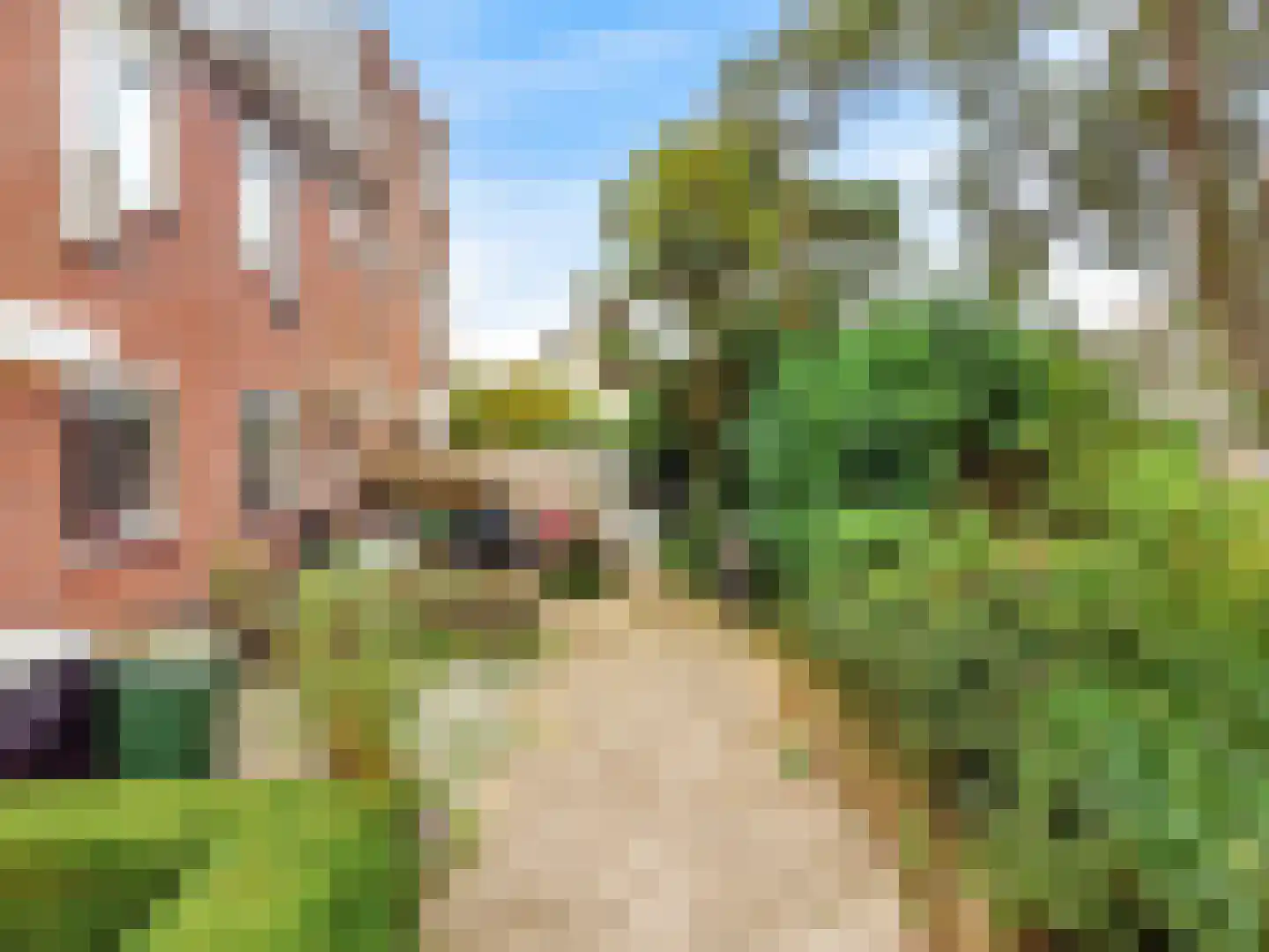 Peperzoom 37 Voorhout thumbnail 6