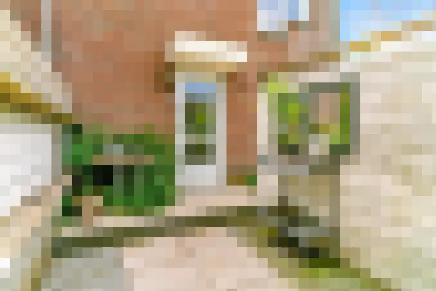 Peperzoom 37 Voorhout thumbnail 7