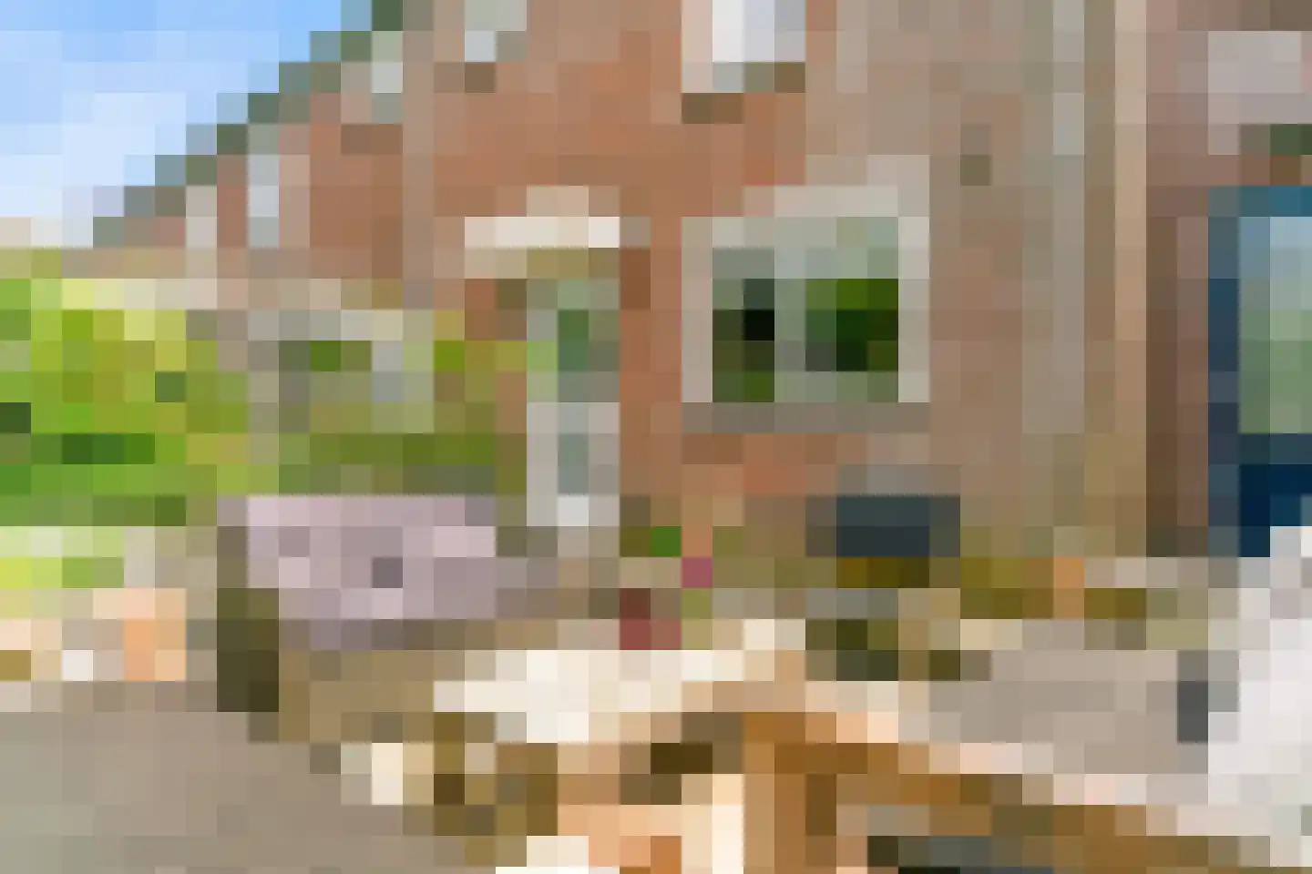 Peperzoom 37 Voorhout thumbnail 9