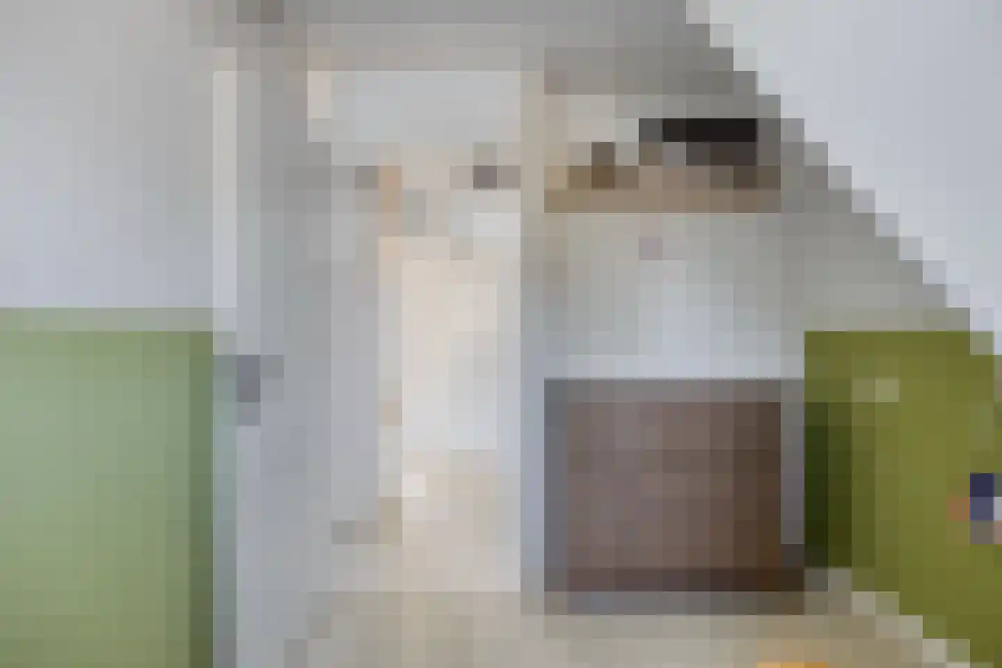 Peperzoom 77 Voorhout thumbnail 28
