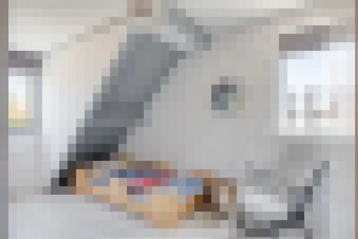 Peperzoom 77 Voorhout thumbnail 29