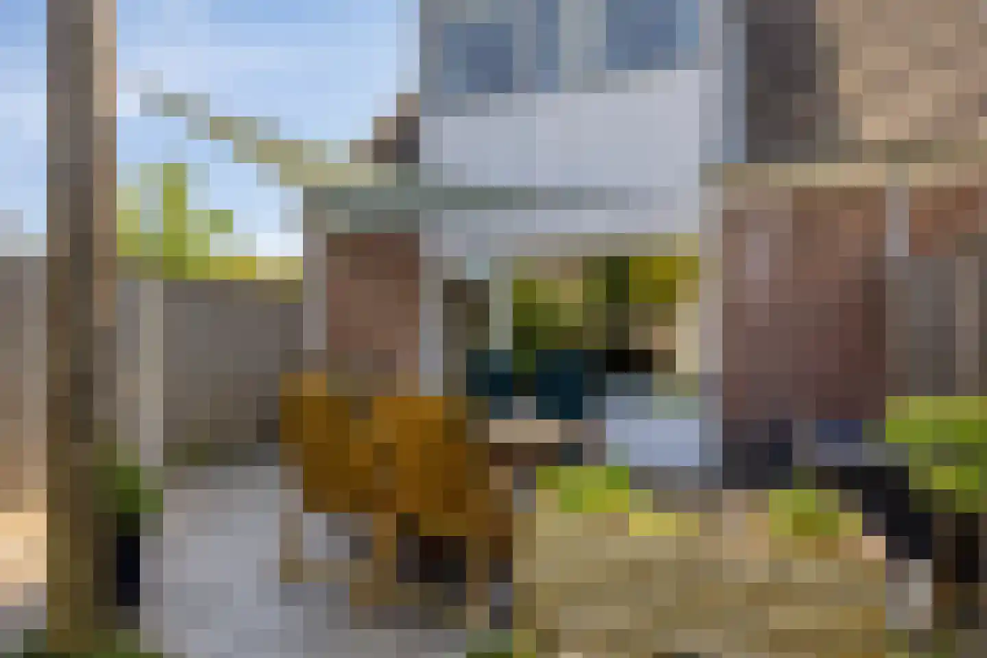 Peperzoom 77 Voorhout thumbnail 38