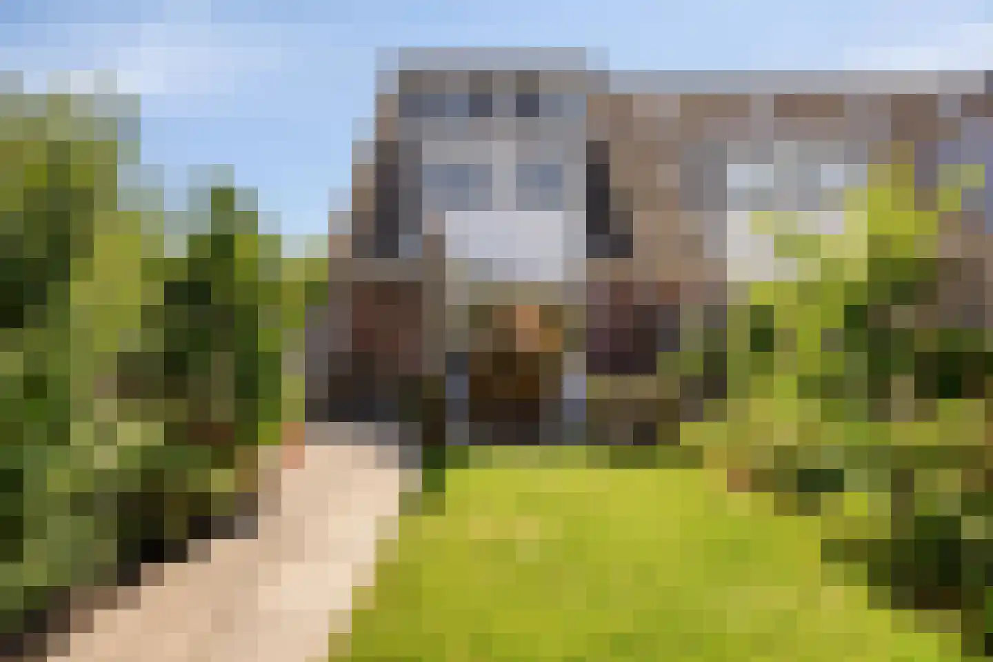 Peperzoom 77 Voorhout thumbnail 40