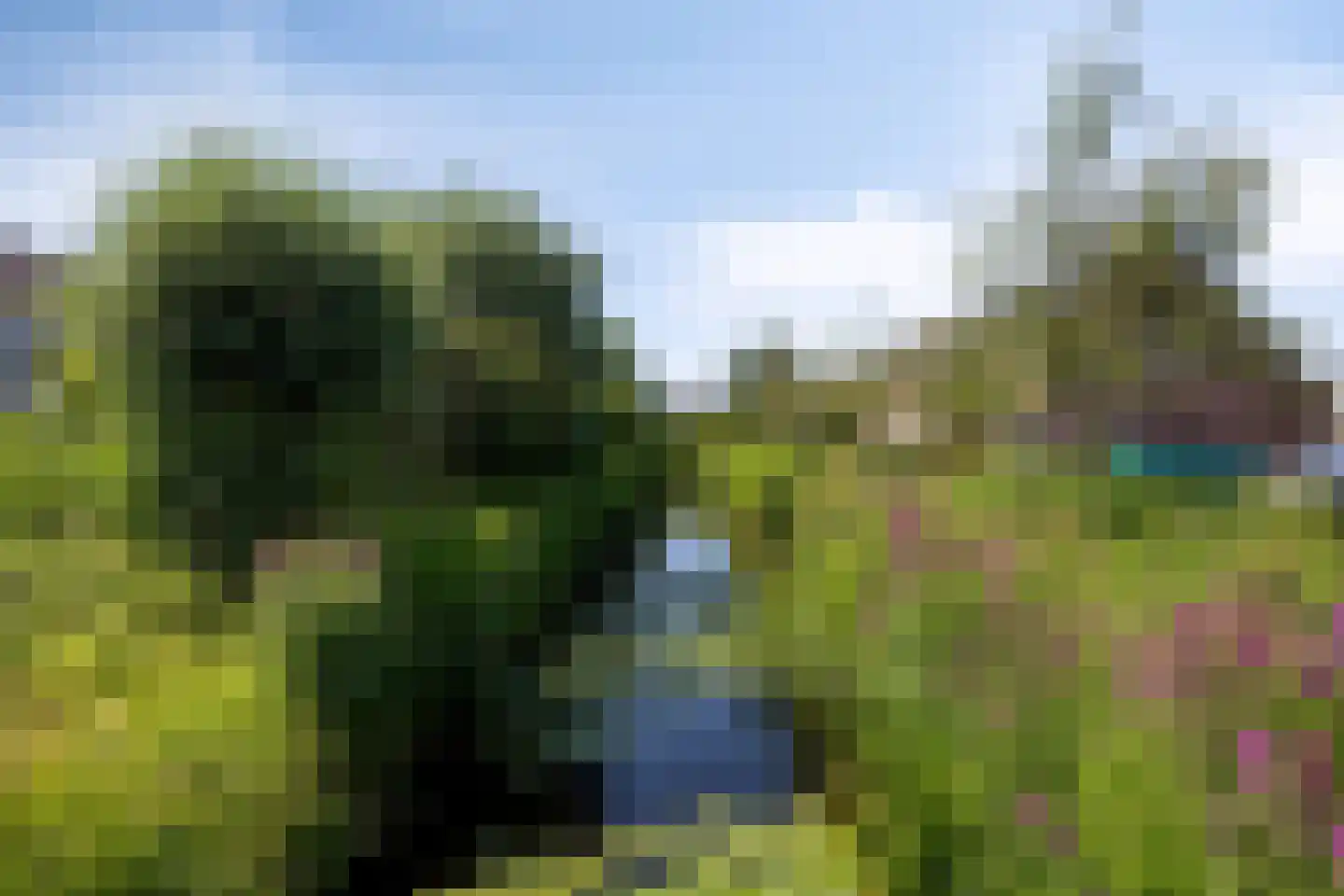 Peperzoom 77 Voorhout thumbnail 41