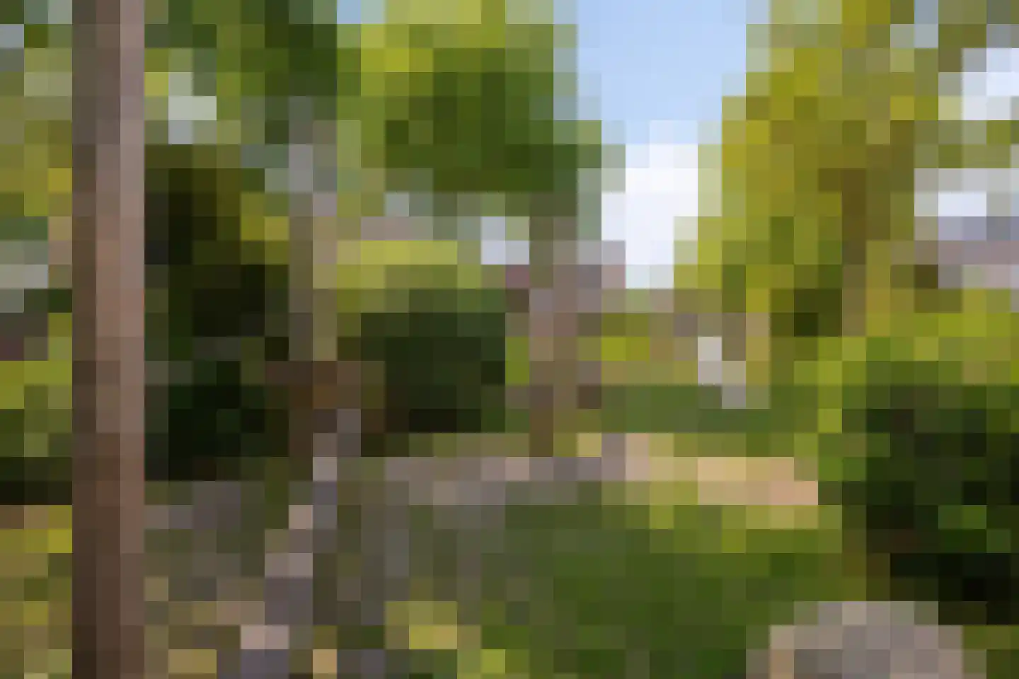 Peperzoom 77 Voorhout thumbnail 42