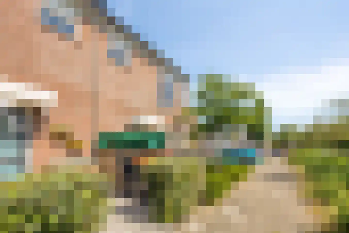 Peperzoom 77 Voorhout thumbnail 43