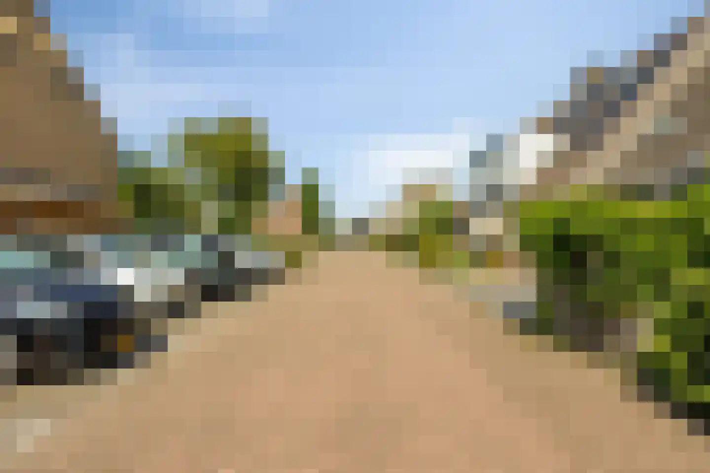 Peperzoom 77 Voorhout thumbnail 44