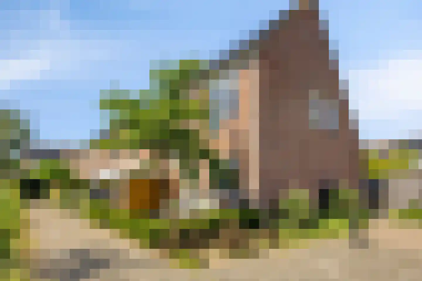 Peperzoom 77 Voorhout thumbnail 5
