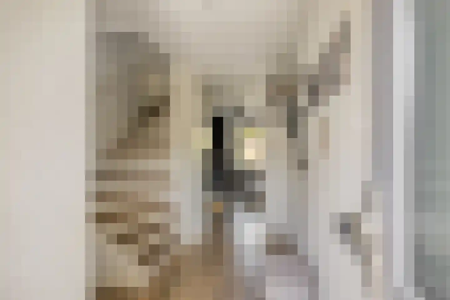 Peperzoom 77 Voorhout thumbnail 8