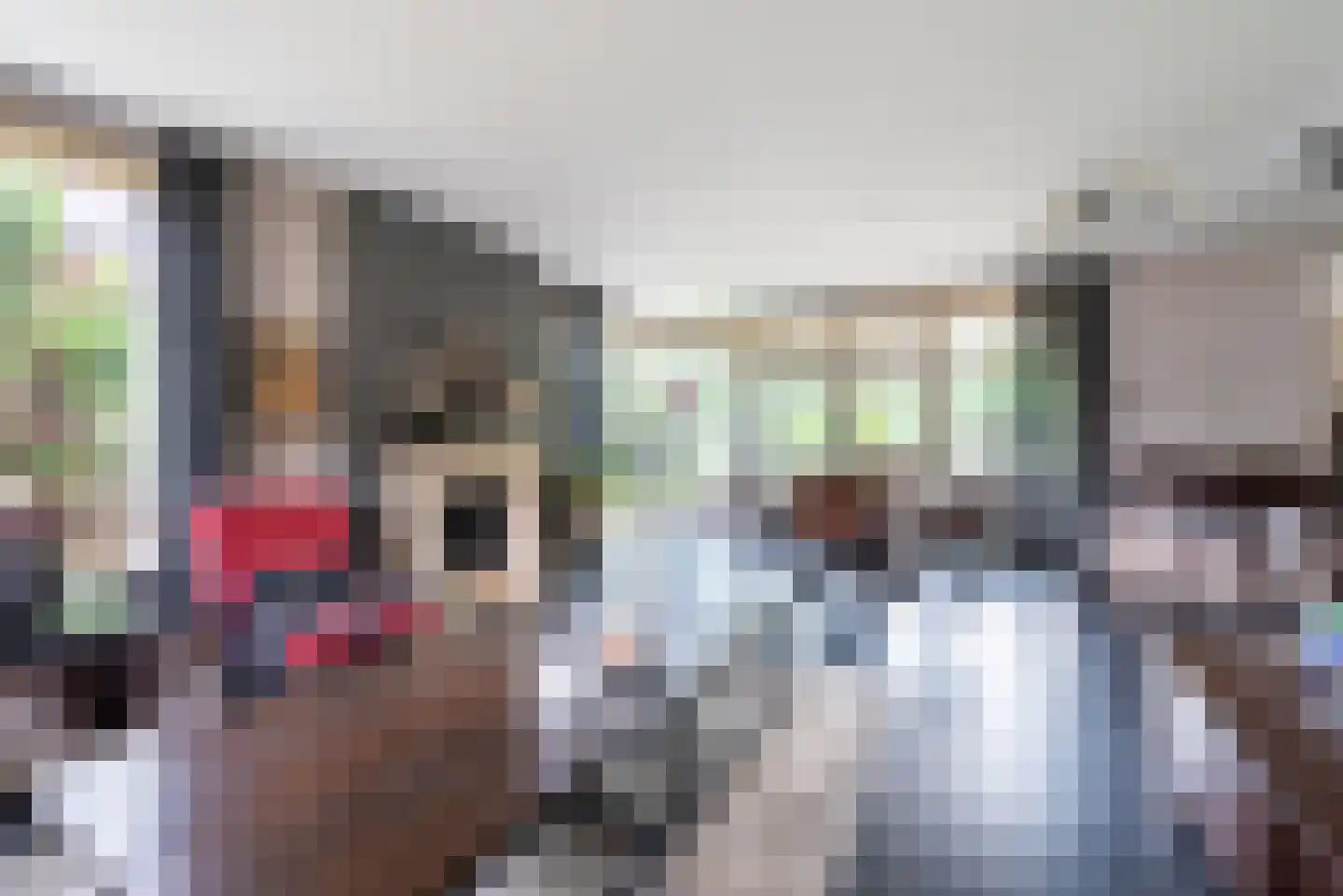 Pepijn 5 Geldrop thumbnail 14