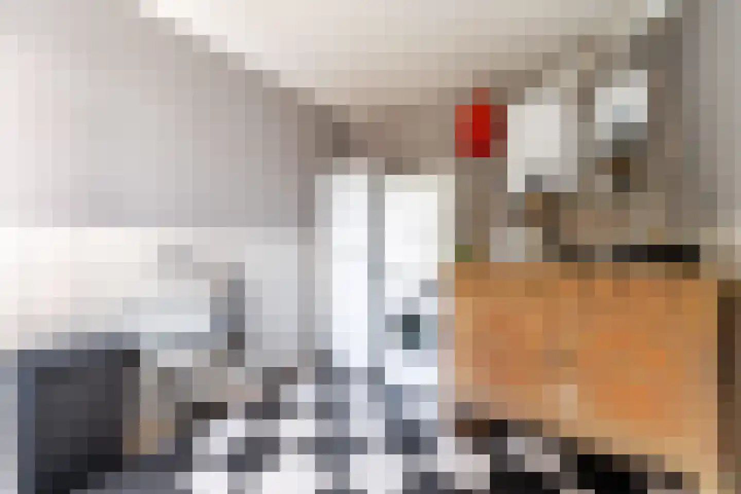 Pepijn 5 Geldrop thumbnail 26