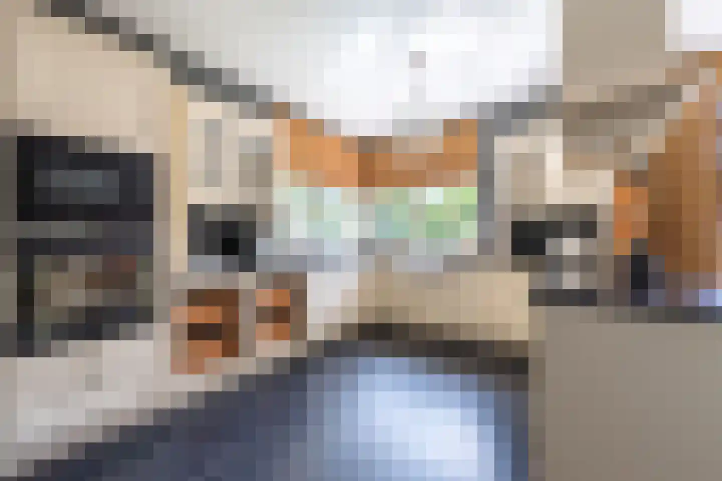 Pepijn 5 Geldrop thumbnail 4