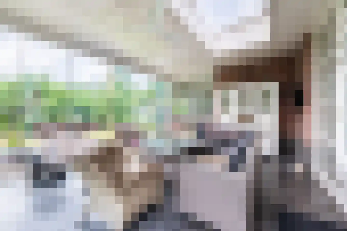 Pepijn 5 Geldrop thumbnail 48