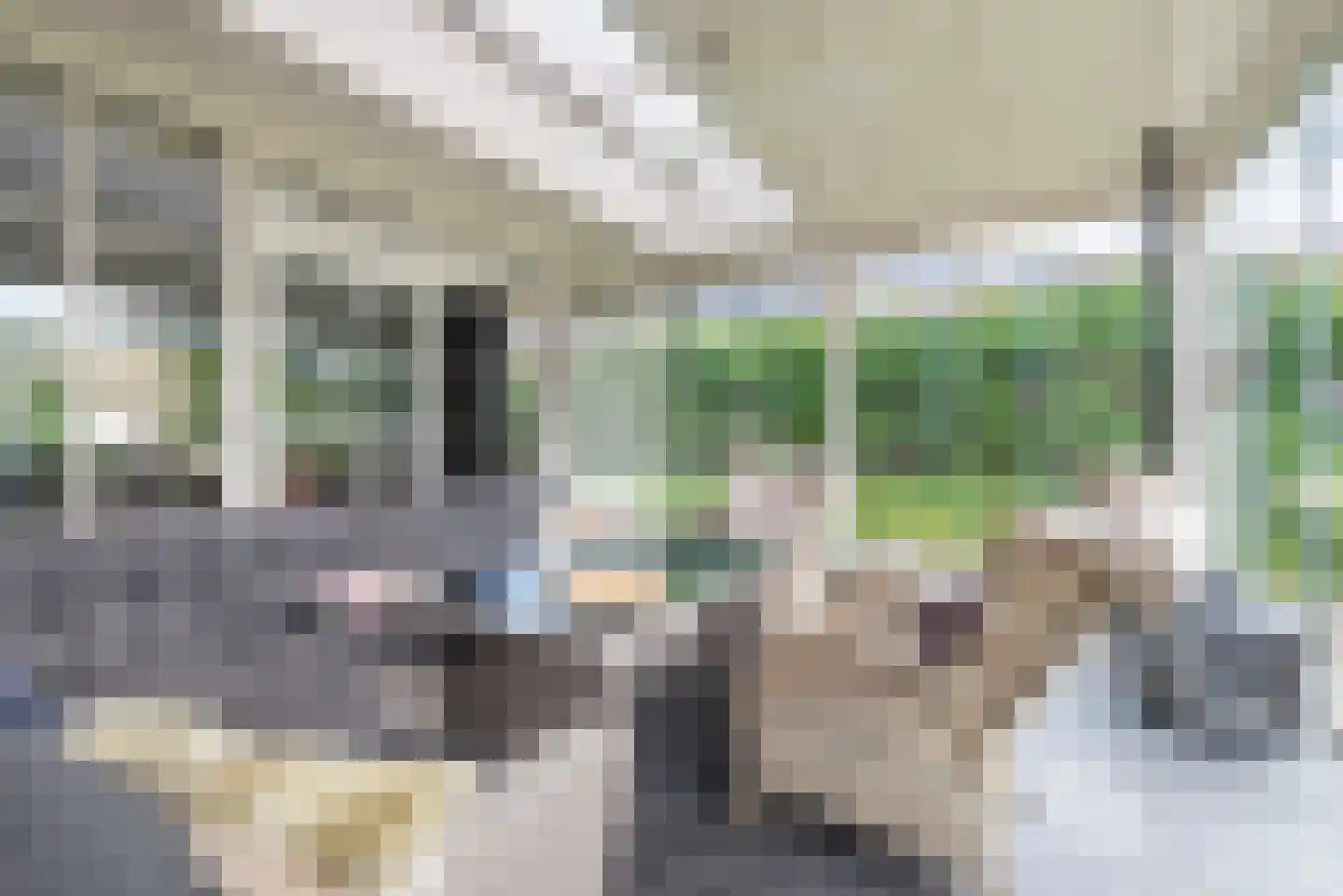 Pepijn 5 Geldrop thumbnail 49