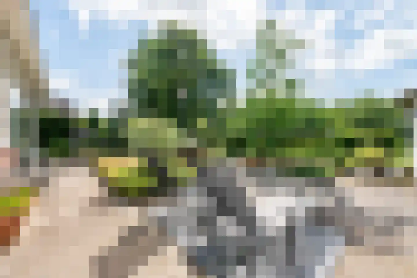 Pepijn 5 Geldrop thumbnail 51
