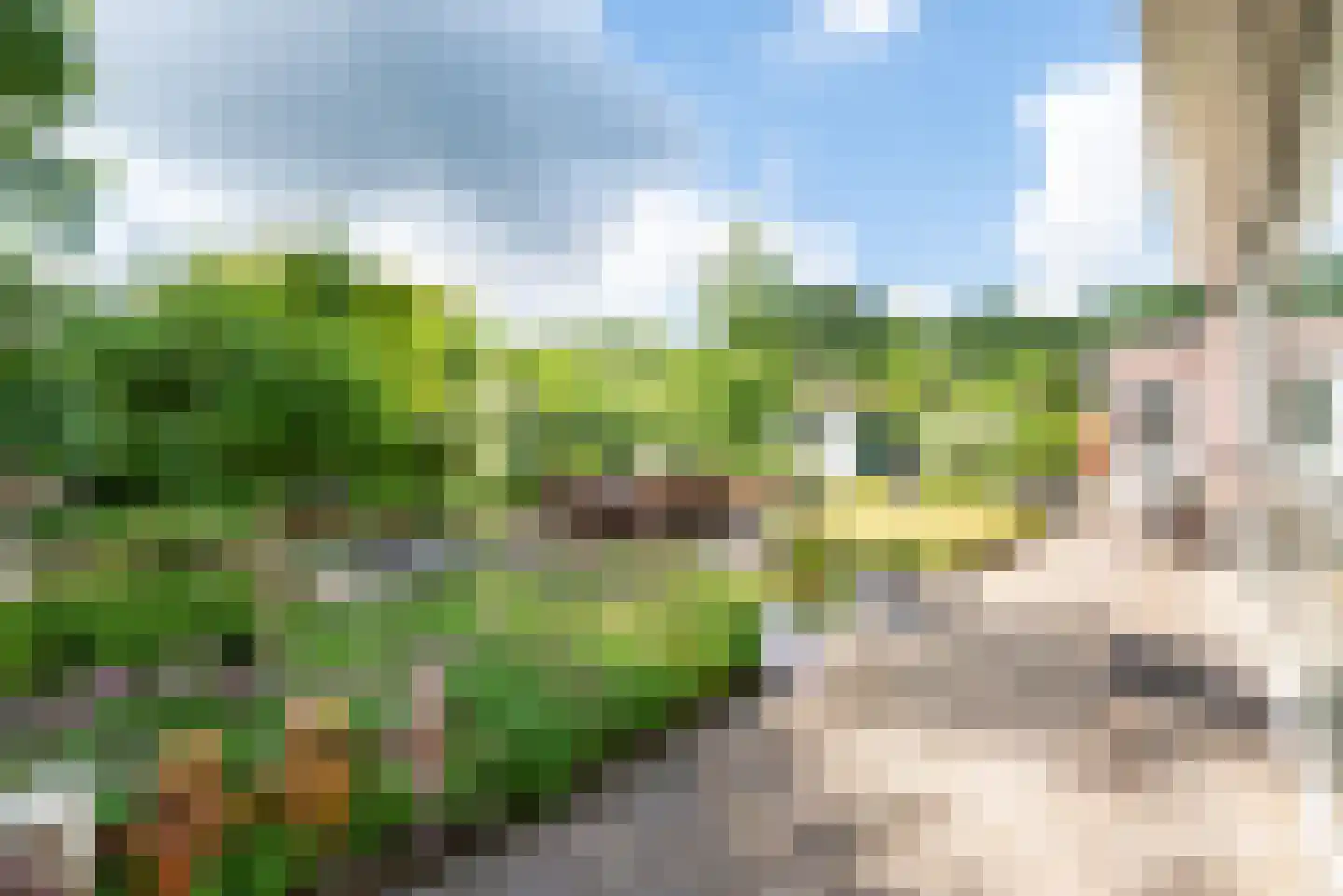 Pepijn 5 Geldrop thumbnail 55