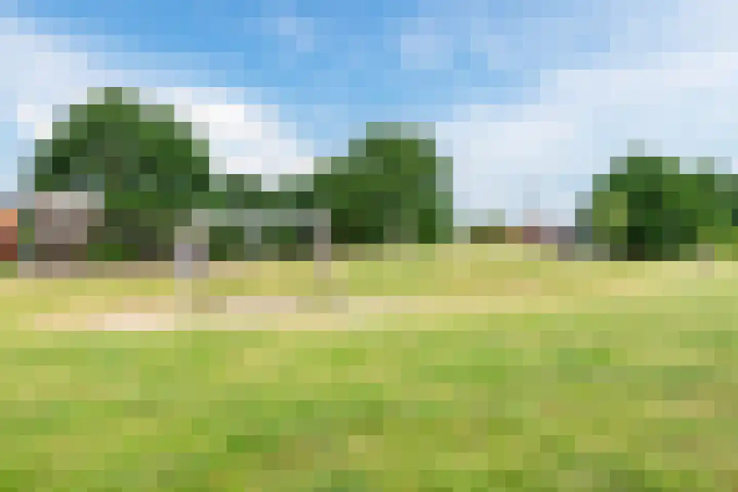 Pepijn 5 Geldrop thumbnail 56