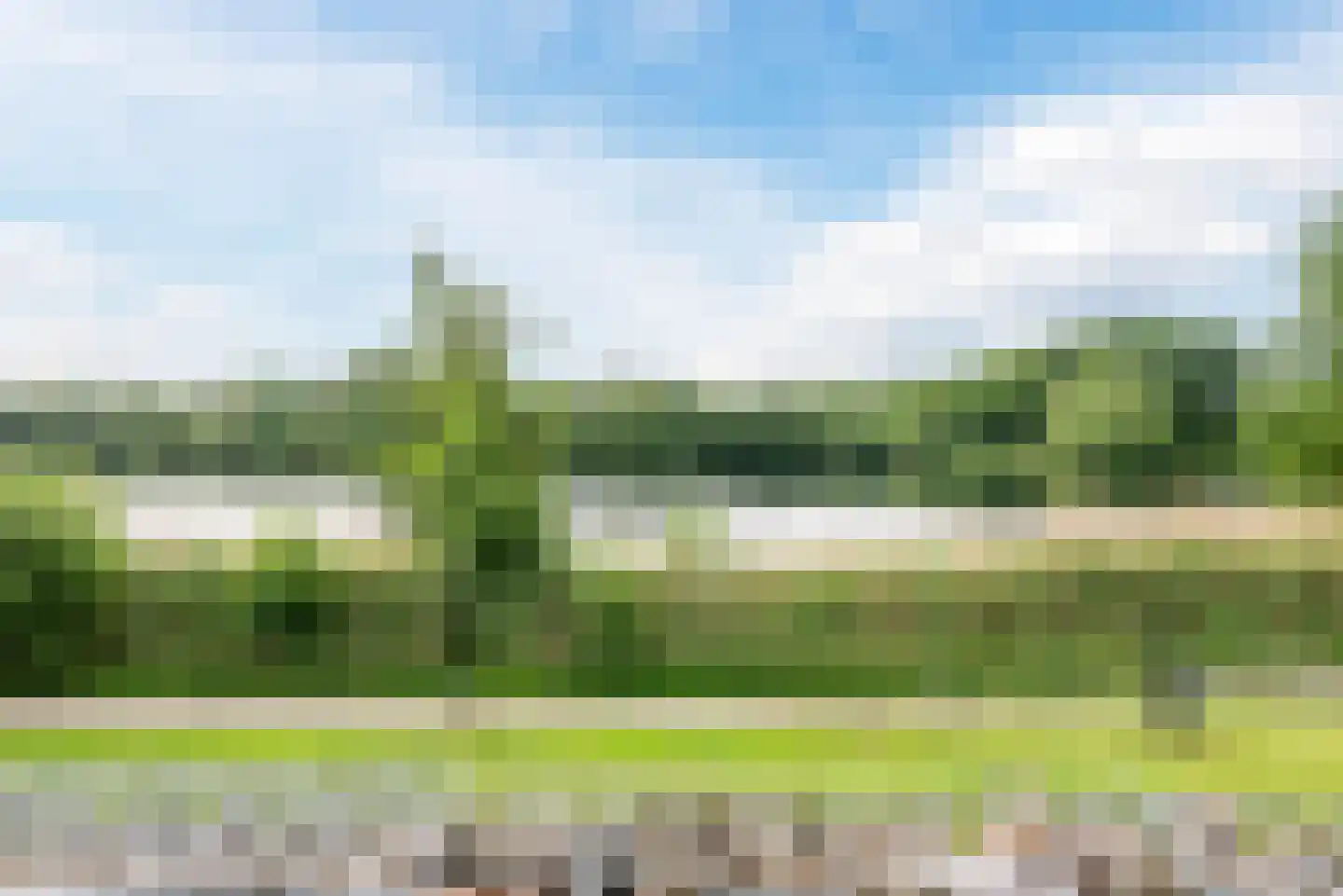 Pepijn 5 Geldrop thumbnail 57