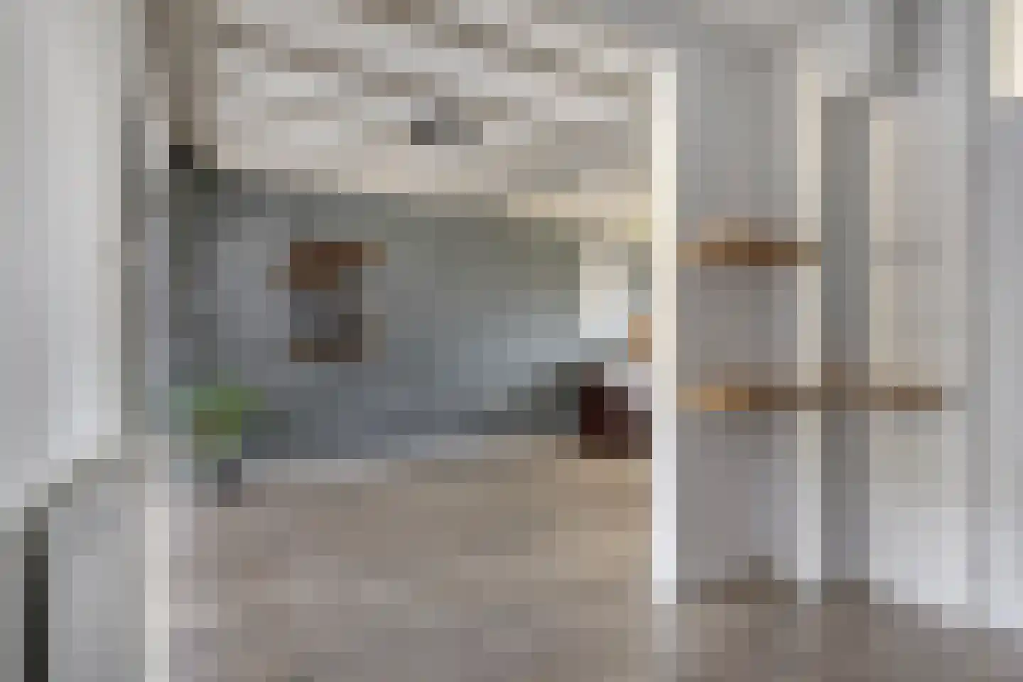 Pepijn van Herstalstraat 46 Budel thumbnail 15